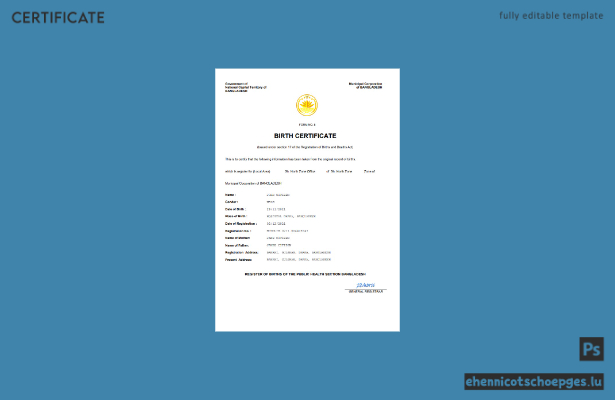 Bangladeschische Geburtsurkunde (Word- und PDF-Beispiel)